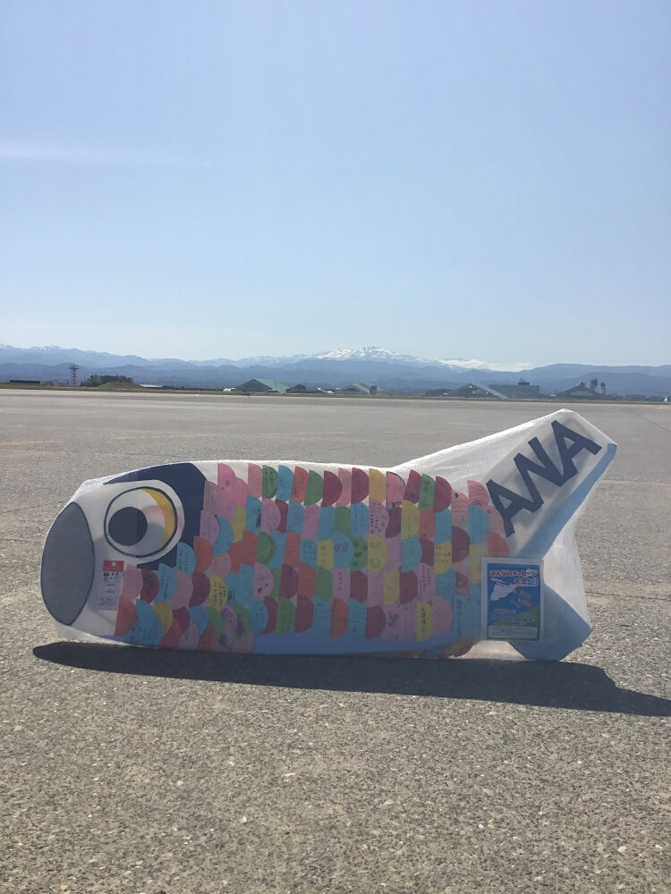 こいのぼりフライトイベントを実施しました