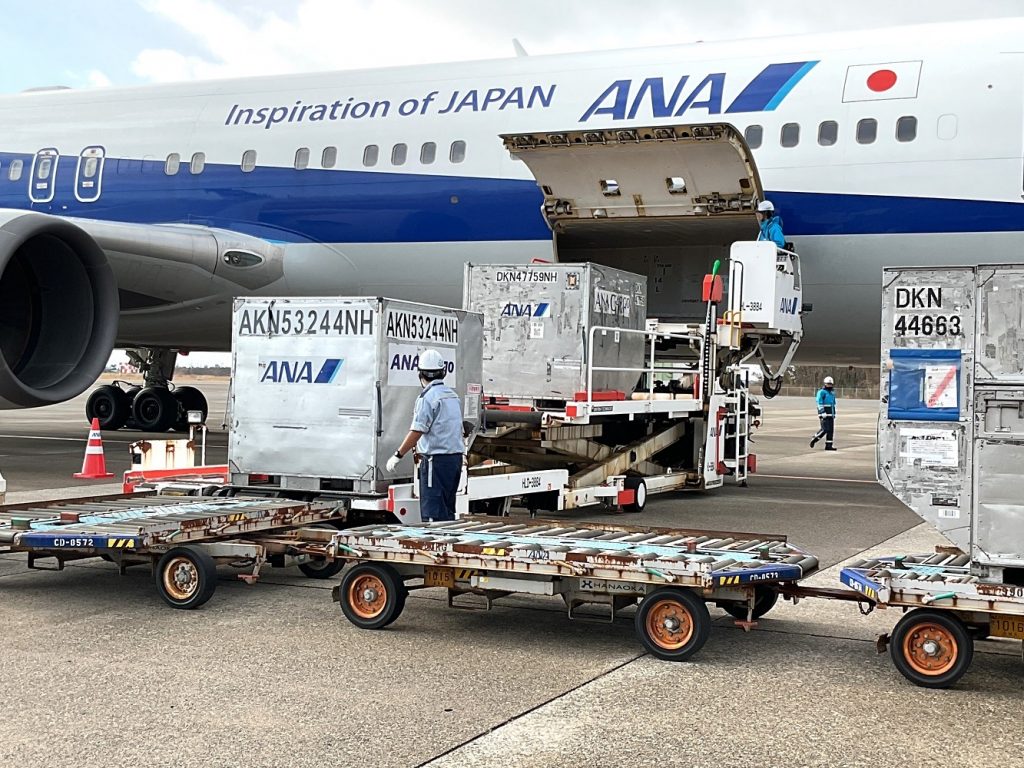 ANAグループグランドハンドリング制服導入